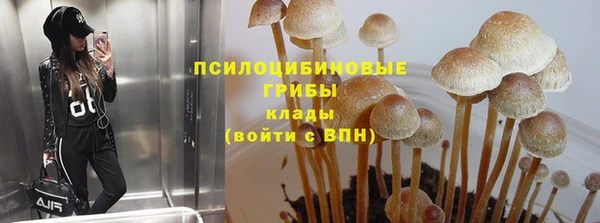 mdpv Кинешма