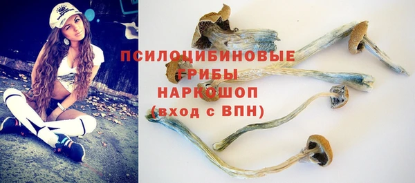 mdpv Кинешма