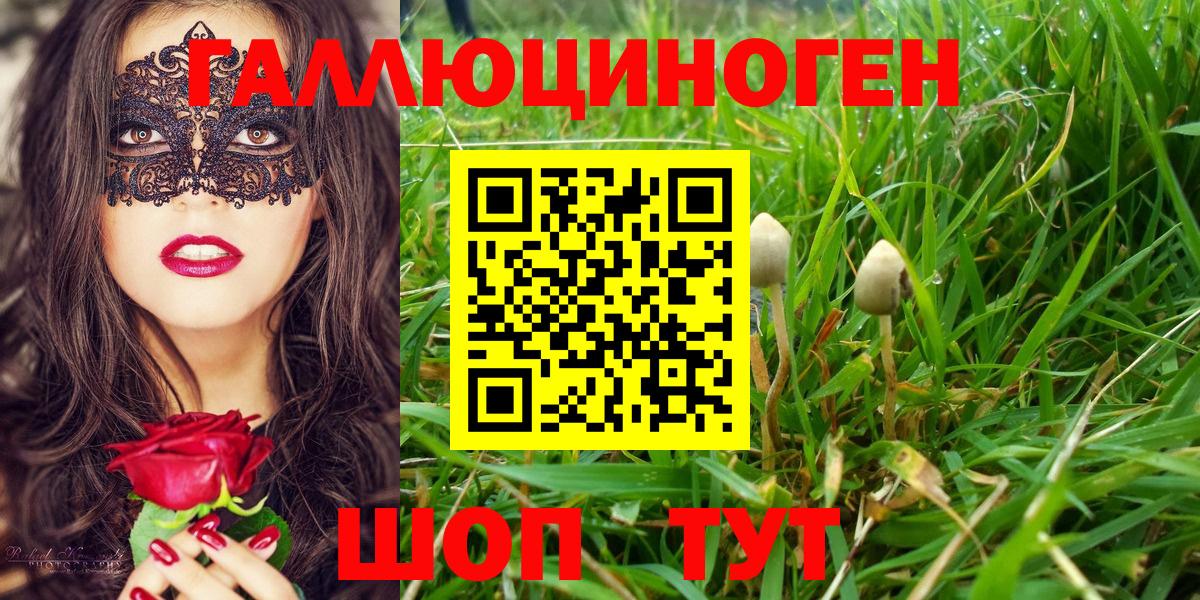 Галлюциногенные грибы Magic Shrooms  Казань 
